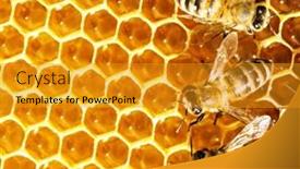  Presentation with cells - 