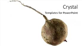  Presentation with beetroot - Colorful slides enhanced with ruba - beetroot isolated on white backdrop and a white colored foreground