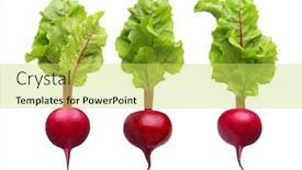  Presentation with beetroot - Presentation design featuring beetroot-leaves-fresh-beet-leaf background and a yellow colored foreground