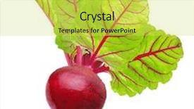  Presentation with beetroot - Cool new slide deck with beetroot with leaves fresh whole beet isolated on white background backdrop and a yellow colored foreground