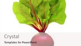  Presentation with beetroot - Presentation design featuring beetroot-with-leaves-isolated background and a sky blue colored foreground