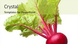  Presentation with beetroot - PPT layouts having beets - beetroot with leaves fresh whole background and a yellow colored foreground