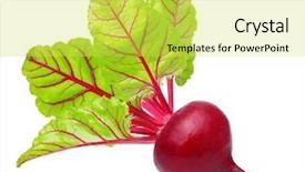  Presentation with beetroot - Amazing theme having beets - beetroot with leaves fresh whole backdrop and a yellow colored foreground