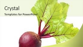  Presentation with beetroot - Beautiful slide set featuring beets - beetroot with leaves isolated backdrop and a yellow colored foreground