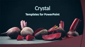  Presentation with sugar - Beautiful slides featuring beets - sliced sugar beet on black backdrop and a navy blue colored foreground