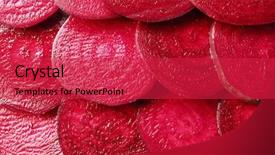  Presentation with closeup of bees flying - Colorful slide set enhanced with beets - slices of fresh beet closeup backdrop and a red colored foreground