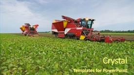  Presentation with harvest - Beautiful theme featuring beets - two modern red combine harvesters backdrop and a tawny brown colored foreground