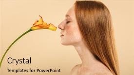  Presentation with lily lotus flower water - Beautiful PPT theme featuring beige background posing with lily backdrop and a  colored foreground