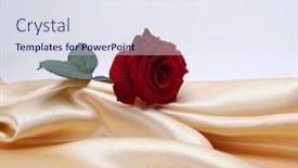  Presentation with abstract wave - Slides having beige-nacre-wave-fabric-silk background and a sky blue colored foreground