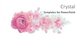  Presentation with smoke cloud - PPT theme featuring beige-pink-anemone-flower background and a white colored foreground