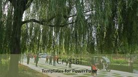  Presentation with healthy living - 