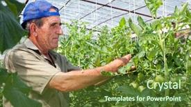  Presentation with bulgarian - Audience pleasing PPT theme consisting of being checked by an old backdrop and a tawny brown colored foreground