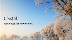  Presentation with winter and trees - Presentation featuring belgim christmas - dutch winter landscape with frozen background and a light blue colored foreground
