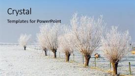  Presentation with winter blue - Presentation theme consisting of belgim christmas - dutch winter landscape with frozen background and a light blue colored foreground