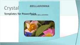  Presentation with herbs - Presentation design consisting of belladonna-medicinal-herbs background and a arctic colored foreground