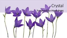  Presentation with history earth globe isolated white - Beautiful slide deck featuring bellflower-isolated-on-a-white backdrop and a light blue colored foreground