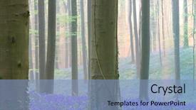  Presentation with light blue color - Slide deck featuring bells in the foggy mist background and a light blue colored foreground