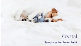  Presentation with toy - Presentation design featuring beloved-puppy-with-toy-sleeping background and a sky blue colored foreground