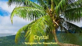  Presentation with close up dumb cane leaves - PPT theme enhanced with below ocean frames - frame close-up leaves background and a  colored foreground