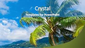  Presentation with frame - Audience pleasing PPT layouts consisting of below ocean frames - overhanging frame close-up backdrop and a  colored foreground