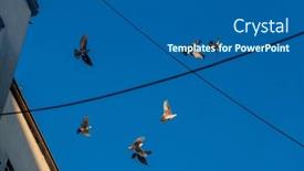  Presentation with cables - Slides enhanced with below-pigeons-flying-in-cloudless background and a ocean colored foreground