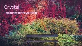  Presentation with fall colors - Cool new presentation design with bench and colorful autumn foliage on a wall fall background rich colors backdrop and a violet colored foreground