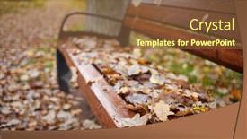  Presentation with oak - Presentation featuring bench in autumn park covered with fallen wet oak leaves background and a tawny brown colored foreground