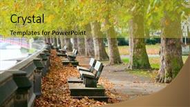  Presentation with gardens - Colorful slide deck enhanced with suspension bridge through the trees in summer forest backdrop and a tawny brown colored foreground