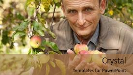  Presentation with orchard - PPT layouts consisting of beneficiaries - old man with apples background and a  colored foreground
