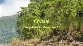  Presentation with jungle - PPT theme having beni-river-in-bolivian-jungle background and a tawny brown colored foreground