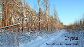  Presentation with rural road - Beautiful PPT theme featuring bent pines near rural road backdrop and a light blue colored foreground