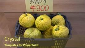  Presentation with november - 