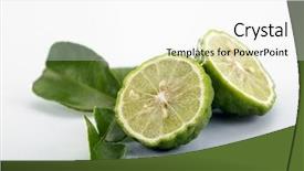  Presentation with thailand food - Colorful slide set enhanced with bergamot kaffir lime leaves herb backdrop and a white colored foreground