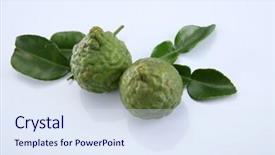  Presentation with thailand food - Cool new PPT layouts with bergamot kaffir lime leaves and lime ingredient food asian thailand white background backdrop and a sky blue colored foreground