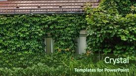  Presentation with berlin wall - Presentation design consisting of berlin wall - ivy clad house background and a tawny brown colored foreground