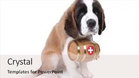  Presentation with rescue - Colorful PPT theme enhanced with bernard puppy with a rescue backdrop and a lemonade colored foreground