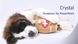  Presentation with rescue - Colorful PPT theme enhanced with bernard puppy with a rescue backdrop and a  colored foreground