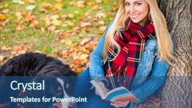  Presentation with dog park - PPT theme featuring bernese mountain dog reading book background and a ocean colored foreground