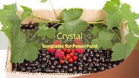  Presentation with currant - Slides enhanced with berries-currant-and-raspberry background and a tawny brown colored foreground