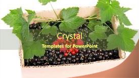  Presentation with currant - PPT theme having berries-of-black-currant background and a tawny brown colored foreground