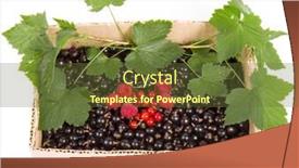  Presentation with currant - Colorful PPT theme enhanced with berries-of-black-currant backdrop and a tawny brown colored foreground