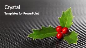  Presentation with christmas holly - Slides with berries on dark carbon fiber background and a dark gray colored foreground
