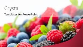  Presentation with bio - PPT theme having berries-various-colorful-berries-background background and a white colored foreground