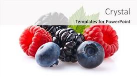  Presentation with berries - Audience pleasing slide set consisting of berries-with-leaves-on-white backdrop and a white colored foreground