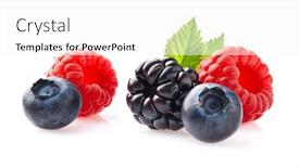  Presentation with berries - PPT layouts consisting of berries-with-leaves-on-white background and a pink colored foreground