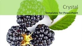  Presentation with blackberry - Slides enhanced with berry-blackberry-with-green-leaves background and a yellow colored foreground
