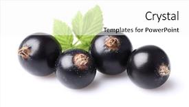  Presentation with currant - Slide deck consisting of berry-of-currant-with-leaf background and a  colored foreground