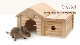  Presentation with white house - PPT theme having beside small wooden pet house background and a lemonade colored foreground