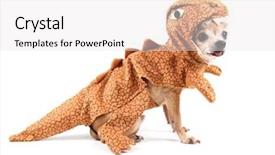  Presentation with costume - PPT layouts with ancient hotel - dead sea coast israel background and a light blue colored foreground.