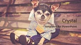  Presentation with filter - Presentation design consisting of pants and a shirt toned background and a coral colored foreground